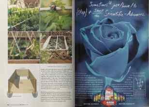 Better Homes & Gardens May 2005 Magazine Article: Page 114