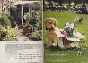 Better Homes & Gardens May 2005 Magazine Article: Page 136