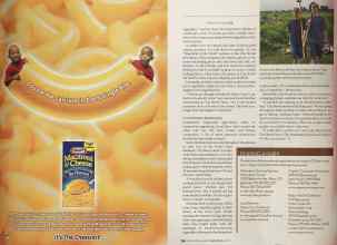 Better Homes & Gardens May 2005 Magazine Article: Page 207