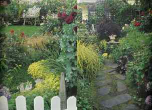 Better Homes & Gardens May 2005 Magazine Article: Page 229