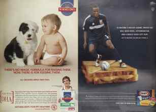 Better Homes & Gardens May 2005 Magazine Article: Page 243