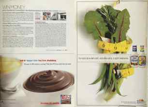 Better Homes & Gardens May 2005 Magazine Article: Page 271