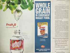 Better Homes & Gardens May 2005 Magazine Article: Page 295