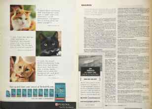 Better Homes & Gardens May 2005 Magazine Article: Page 301