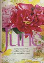 Better Homes & Gardens June 2005 Magazine Article: June