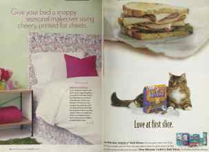 Better Homes & Gardens June 2005 Magazine Article: Page 32