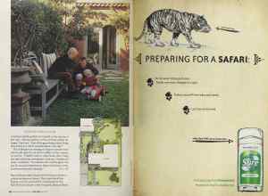 Better Homes & Gardens June 2005 Magazine Article: Page 86