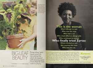 Better Homes & Gardens June 2005 Magazine Article: Page 92