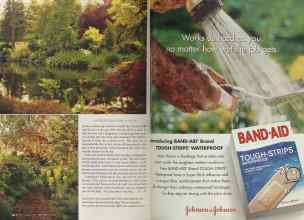 Better Homes & Gardens June 2005 Magazine Article: Page 116