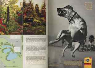 Better Homes & Gardens June 2005 Magazine Article: Page 118