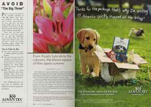 Better Homes & Gardens June 2005 Magazine Article: Page 134