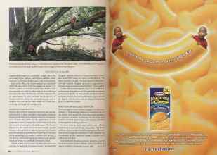 Better Homes & Gardens June 2005 Magazine Article: Page 188