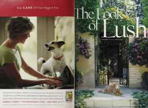 Better Homes & Gardens June 2005 Magazine Article: Page 214