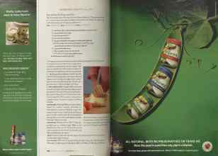 Better Homes & Gardens June 2005 Magazine Article: Page 256