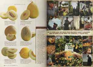 Better Homes & Gardens June 2005 Magazine Article: Page 260