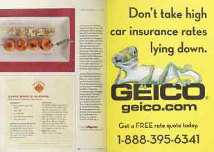 Better Homes & Gardens June 2005 Magazine Article: Page 264