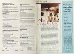 Better Homes & Gardens June 2005 Magazine Article: Page 278