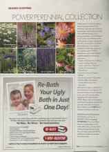 Better Homes & Gardens July 2005 Magazine Article: POWER PERENNIAL COLLECTION
