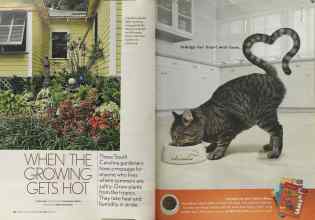 Better Homes & Gardens July 2005 Magazine Article: Page 76