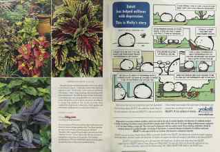 Better Homes & Gardens July 2005 Magazine Article: Page 84