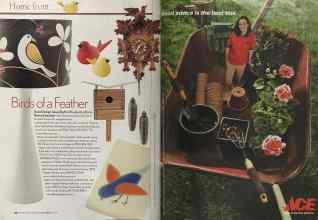 Better Homes & Gardens July 2005 Magazine Article: Page 90