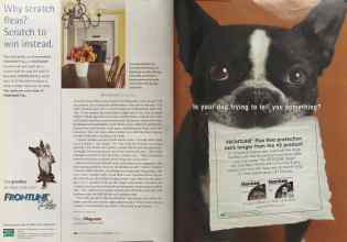 Better Homes & Gardens July 2005 Magazine Article: Page 104