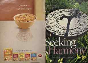 Better Homes & Gardens July 2005 Magazine Article: Page 168