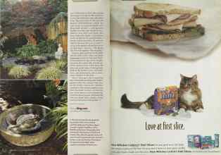 Better Homes & Gardens July 2005 Magazine Article: Page 176