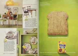 Better Homes & Gardens September 2005 Magazine Article: Page 110