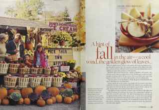 Better Homes & Gardens September 2005 Magazine Article: Page 226
