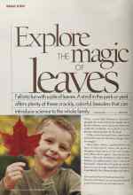 Better Homes & Gardens October 2005 Magazine Article: Explore THE magic OF leaves