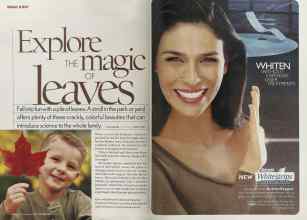 Better Homes & Gardens October 2005 Magazine Article: Page 178