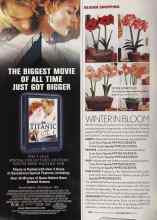 Better Homes & Gardens November 2005 Magazine Article: WINTER IN BLOOM