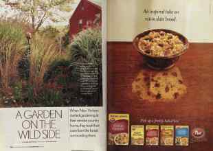 Better Homes & Gardens November 2005 Magazine Article: Page 128