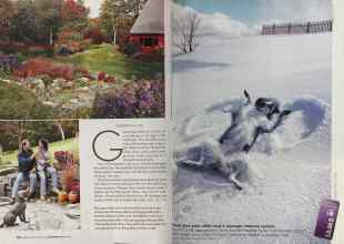 Better Homes & Gardens November 2005 Magazine Article: Page 130