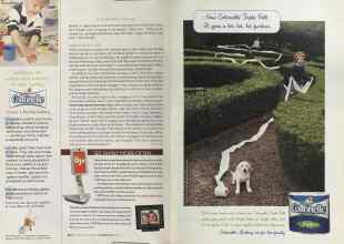 Better Homes & Gardens November 2005 Magazine Article: Page 164