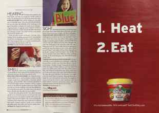 Better Homes & Gardens November 2005 Magazine Article: Page 186