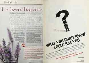 Better Homes & Gardens November 2005 Magazine Article: Page 288