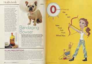 Better Homes & Gardens November 2005 Magazine Article: Page 290