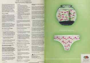 Better Homes & Gardens December 2005 Magazine Article: Page 50