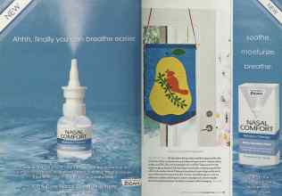 Better Homes & Gardens December 2005 Magazine Article: Page 110