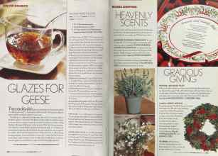 Better Homes & Gardens December 2005 Magazine Article: Page 252