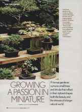 Better Homes & Gardens January 2006 Magazine Article: GROWING A PASSION IN MINIATURE