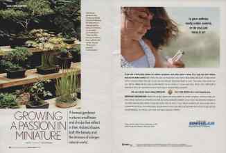 Better Homes & Gardens January 2006 Magazine Article: Page 60