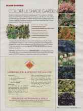 Better Homes & Gardens February 2006 Magazine Article: COLORFUL SHADE GARDEN