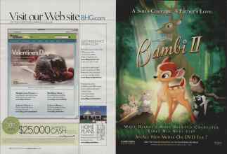 Better Homes & Gardens February 2006 Magazine Article: Page 12
