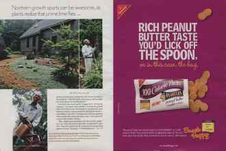 Better Homes & Gardens February 2006 Magazine Article: Page 30