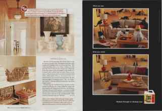 Better Homes & Gardens February 2006 Magazine Article: Page 42