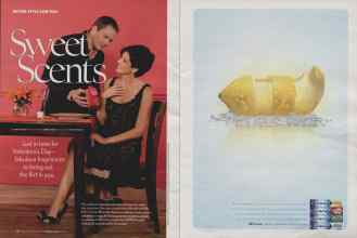 Better Homes & Gardens February 2006 Magazine Article: Page 76