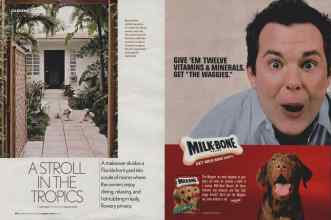 Better Homes & Gardens February 2006 Magazine Article: Page 84